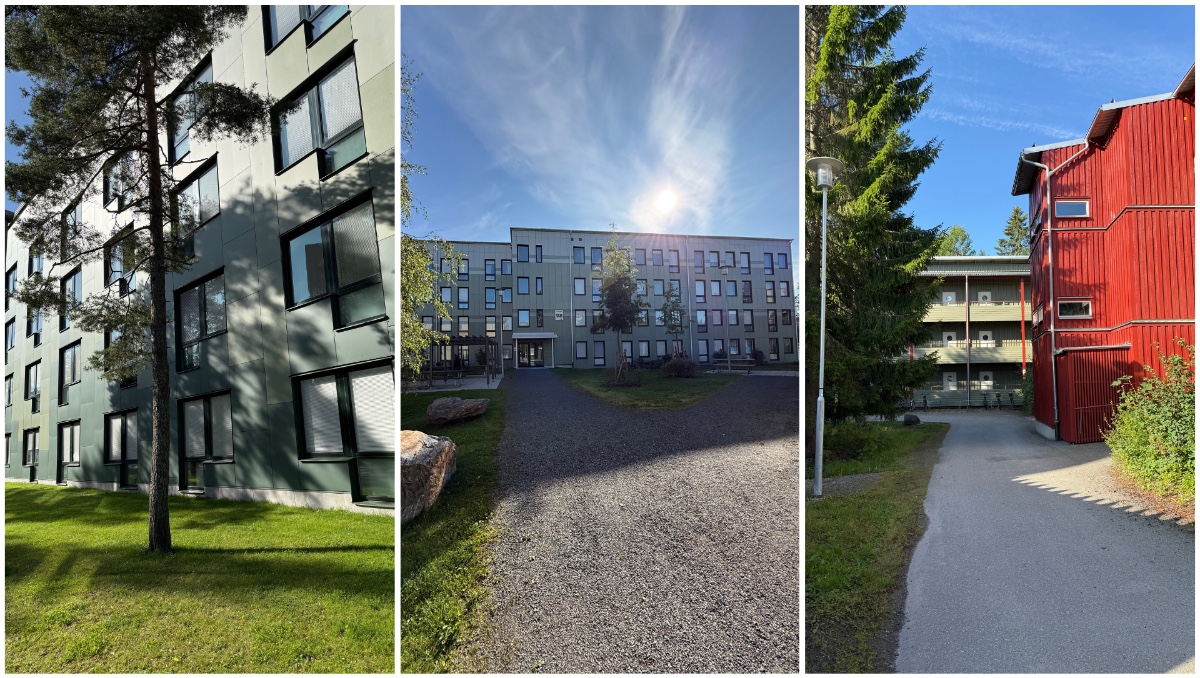 Tvistevägen, en av fastigheterna som Kajeka förvaltar